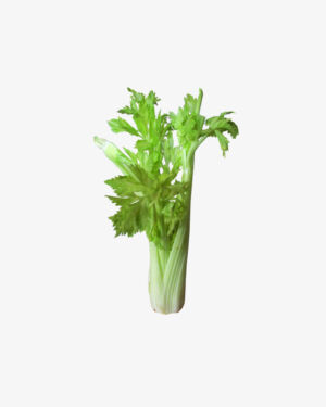 Petiolate Celery (Demo)